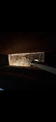 Home exclusion - We worked hard to provide the best home-proofing services for our clients. With our expertise and different techniques, we successfully removed unwanted pests and returned the homes back to them. Our clients can now rest assured that their homes are safe and secure.