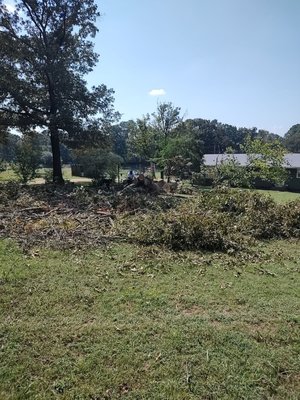 TREE REMOVAL - jobs done by Allaround Handyman Bo llc