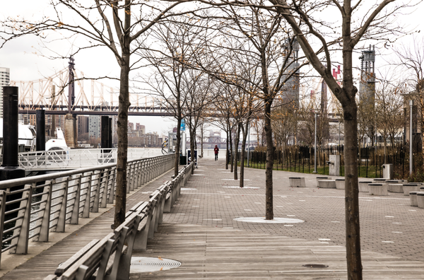 Alta+ : Neighborhood - Discover modern living reimagined at Alta+. Designed for those who seek style and comfort, Alta+ offers an inspiring blend of sleek architecture and the vibrant community of Long Island City. Enjoy thoughtfully designed spaces that promote relaxation and connection, complemented by premier amenities tailored to your lifestyle. Alta+ offers exceptional access to multiple transit hubs, enhancing the convenience of urban living. Discover a home where modern convenience meets unmatched sophistication. Alta+ : Neighborhood - Discover modern living reimagined at Alta+. Designed for those who seek style and comfort, Alta+ offers an inspiring blend of sleek architecture and the vibrant community of Long Island City. Enjoy thoughtfully designed spaces that promote relaxation and connection, complemented by premier amenities tailored to your lifestyle. Alta+ offers exceptional access to multiple transit hubs, enhancing the convenience of urban living. Discover a home where modern convenience meets unmatched sophistication.