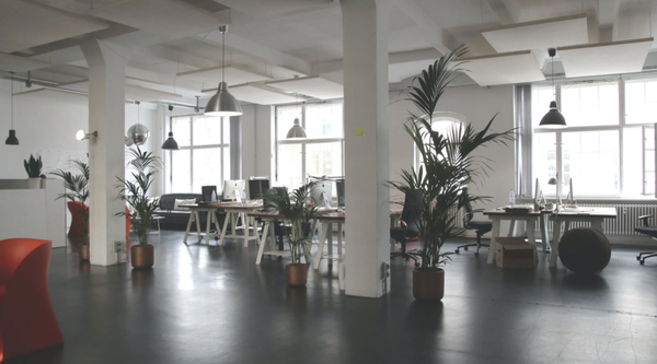 Commercial Cleaning - We offer commercial cleaning and janitorial services too. Call today to customize a plan for your business.