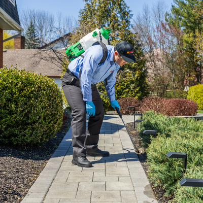 Pests are smart. Western's smarter. - When you're looking for pest control treatments that are effective, but also keep your guests, family, and pets safe in Wilmington and the surrounding areas, Western Pest Services is the company you need. Our pest control services at your home are meant to keep you safe and healthy. From dealing with the termites that can take a serious bite out of your large investment to allowing you to take back your backyard with professional mosquito and tick control treatments, Western has the experts you need. And of course, we remember the inside of your home, too. With a comprehensive rodent and cockroach plans that you can count on and routine seasonal pest treatments all year round, you can set it and forget it with Western Pest Services. We can even provide you with new pest-controlling insulation! Your New Castle County, Delaware business can also be pest-free. From cockroaches to flies to bed bugs and every pest in between, our commercial pest control services are fully guaranteed and customized to your business and its needs. We even offer specialty services like remote monitoring, floor drain maintenance, a professional pest cleanup program, and a highly accurate canine bed bug detection team. There’s no place for pests to hide when you bring in a trusted partner like Western. Our technicians are trained, licensed, and backed by Board Certified Entomologists, so you know you’re bringing in the best. For almost a century Western Pest Services has been the premier pest control company for homes and businesses in our area. Pests are smart. Western’s smarter. Pests are smart. Western's smarter. - When you're looking for pest control treatments that are effective, but also keep your guests, family, and pets safe in Wilmington and the surrounding areas, Western Pest Services is the company you need. Our pest control services at your home are meant to keep you safe and healthy. From dealing with the termites that can take a serious bite out of your large investment to allowing you to take back your backyard with professional mosquito and tick control treatments, Western has the experts you need. And of course, we remember the inside of your home, too. With a comprehensive rodent and cockroach plans that you can count on and routine seasonal pest treatments all year round, you can set it and forget it with Western Pest Services. We can even provide you with new pest-controlling insulation! Your New Castle County, Delaware business can also be pest-free. From cockroaches to flies to bed bugs and every pest in between, our commercial pest control services are fully guaranteed and customized to your business and its needs. We even offer specialty services like remote monitoring, floor drain maintenance, a professional pest cleanup program, and a highly accurate canine bed bug detection team. There’s no place for pests to hide when you bring in a trusted partner like Western. Our technicians are trained, licensed, and backed by Board Certified Entomologists, so you know you’re bringing in the best. For almost a century Western Pest Services has been the premier pest control company for homes and businesses in our area. Pests are smart. Western’s smarter.