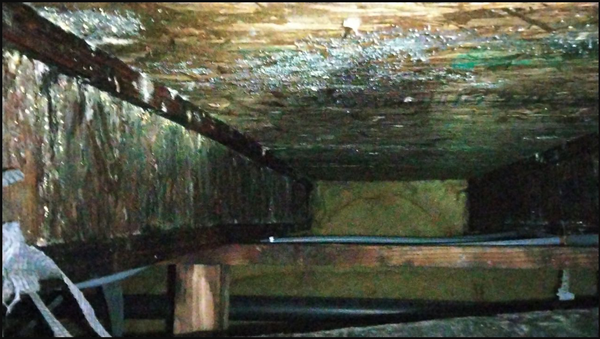Crawl Space Restoration Gallery - CRAWL SPACE RESTORATION SERVICES IN BOISE, MERIDIAN, NAMPA, CALDWELL, STAR, EAGLE AND KUNA IDAHO
The majority of homes in the Treasure Valley have crawl spaces below them. Crawl spaces by design are more resistant to water damage, and mold growth by design, but do frequently flood causing the need for crawl space water damage drying and crawl space water damage repairs. Often in these crawl spaces duct replacement, vapor barrier replacement, foundation wall insulation, and or floor insulation replacement may be needed.
Sometimes mold remediation and mold cleanup is needed as well to maintain a healthy living environment. Not only can crawl spaces be flooded with groundwater, but also water from pipe breaks, and sewage contamination from back flows and or broken sewage pipes. Red Truck Response is happy to send out experienced technicians to advise you of recommended cleanup procedures, and make a free estimate of crawl space water removal, decontamination, drying and repair costs. Please call now for your no obligation free estimate.
Our technicians will look for the following during the crawl space inspection:
Broken Sewage pipe or leaking water pipes under the crawl space
Signs of mold or mildew
Signs of rodents or pests living under the crawl space
Damage to foundation walls, insulation or vapor barriers
Dampness or Odors
Decay of Wood
Crawl Space Water Intrusion
Crawl spaces are an often neglected part of home maintenance. They are often hard to reach, cramped spaces, usually very dark and dirty and therefore generally avoided by homeowners, but crawl spaces are prone to experiencing serious problems that can affect your property if not dealt with. At Red Truck Response in Boise Idaho, we can help you restore your crawl space water and mold problem and make sure it never happens again.
If you want to have your crawl space inspected to check for water intrusion, moisture, mold growth, or pests, call our professionals at Red Truck Response. We will give your crawl space a full inspection to identify and fix any issues that appear. Give us a call at 208-516-2260 for crawl space cleaning and restoration in Boise, ID. Crawl Space Restoration Gallery - CRAWL SPACE RESTORATION SERVICES IN BOISE, MERIDIAN, NAMPA, CALDWELL, STAR, EAGLE AND KUNA IDAHO
The majority of homes in the Treasure Valley have crawl spaces below them. Crawl spaces by design are more resistant to water damage, and mold growth by design, but do frequently flood causing the need for crawl space water damage drying and crawl space water damage repairs. Often in these crawl spaces duct replacement, vapor barrier replacement, foundation wall insulation, and or floor insulation replacement may be needed.
Sometimes mold remediation and mold cleanup is needed as well to maintain a healthy living environment. Not only can crawl spaces be flooded with groundwater, but also water from pipe breaks, and sewage contamination from back flows and or broken sewage pipes. Red Truck Response is happy to send out experienced technicians to advise you of recommended cleanup procedures, and make a free estimate of crawl space water removal, decontamination, drying and repair costs. Please call now for your no obligation free estimate.
Our technicians will look for the following during the crawl space inspection:
Broken Sewage pipe or leaking water pipes under the crawl space
Signs of mold or mildew
Signs of rodents or pests living under the crawl space
Damage to foundation walls, insulation or vapor barriers
Dampness or Odors
Decay of Wood
Crawl Space Water Intrusion
Crawl spaces are an often neglected part of home maintenance. They are often hard to reach, cramped spaces, usually very dark and dirty and therefore generally avoided by homeowners, but crawl spaces are prone to experiencing serious problems that can affect your property if not dealt with. At Red Truck Response in Boise Idaho, we can help you restore your crawl space water and mold problem and make sure it never happens again.
If you want to have your crawl space inspected to check for water intrusion, moisture, mold growth, or pests, call our professionals at Red Truck Response. We will give your crawl space a full inspection to identify and fix any issues that appear. Give us a call at 208-516-2260 for crawl space cleaning and restoration in Boise, ID.