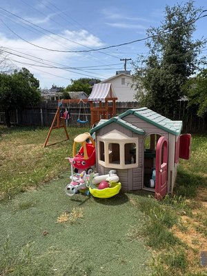 Yard clean up - Yard clean up