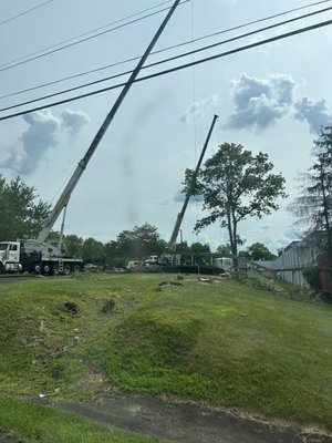 Crane work - Crane base tree work is often the safest, most efficient and cost effective way to go about large removals. Crane work - Crane base tree work is often the safest, most efficient and cost effective way to go about large removals.
