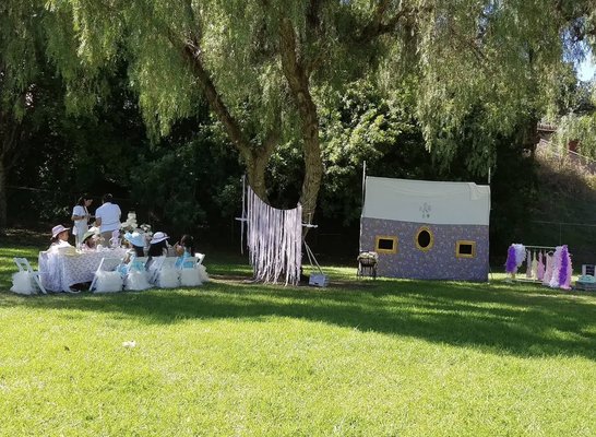 Tea Parties - Tea Parties are held in your backyards, parks or wherever you wish to have them. We can accommodate our rolling  Tea Parlor!