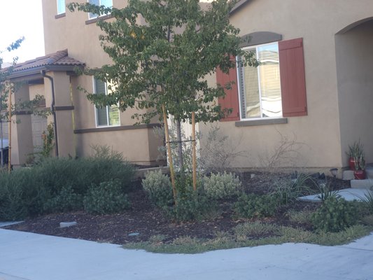 Mulch Replacement Project - This remodel was done to a new home that was already beautiful and in great shape. After we added some fresh mulch this final touch made our client's house feel like a home.