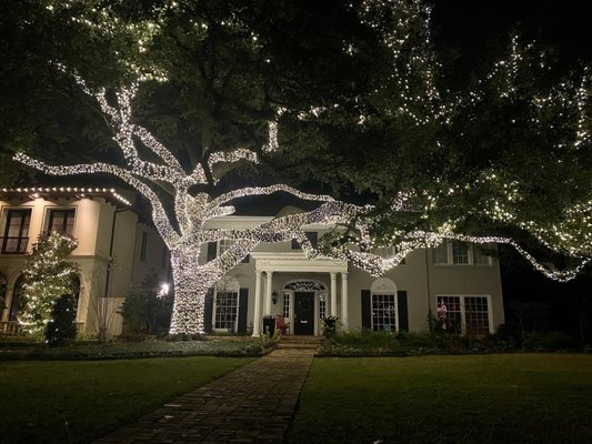 Landscape Lighting - Whether it's holiday season or just looking to have lighting for your landscape we've got you covered! Have total control of your home's appearance and enjoy everyday with beautiful decor & a palpable sense of regality! Our service experts will ensure a seamless process and that your home is in the best shape all at affordable rates!