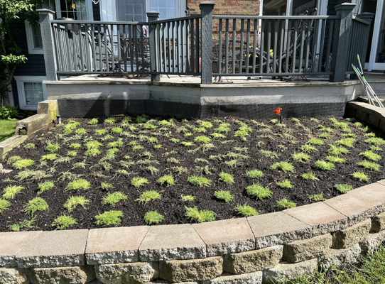 Lawn Care Portfolio - We do everything from general residential lawn care to business lawncare maintenance. Call now for a free estimate!!