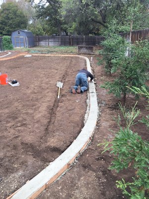 Concrete borders - Add long lasting appeal with custom concrete borders Concrete borders - Add long lasting appeal with custom concrete borders