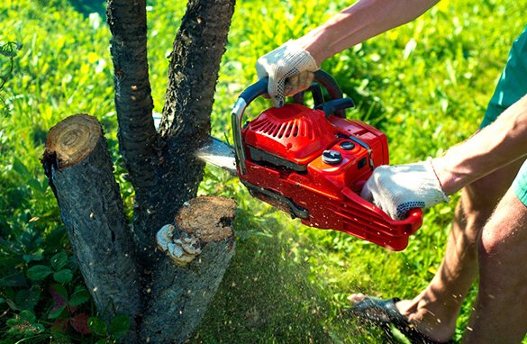 Residential & Commercial Tree and Shrub Removal - At Brother in Law Landscape we are a residential and commercial landscape company with over 15 years of experience keeping customers happy. We focus on installing beautiful local plant material (trees/shrubs/perennials), natural stone or clay brick patios, walkways, retaining walls, firepits, driveways, outcropping stone, ponds, and more.