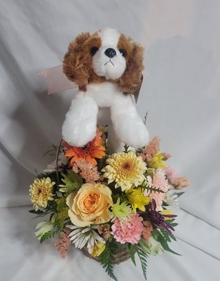 Designs for any occasion - We do a wide variety of floral designs. Give us a call or order online. Designs for any occasion - We do a wide variety of floral designs. Give us a call or order online.