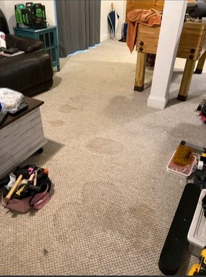 Carpet Cleaning — Before & After - Before and after a carpet cleaning project by Vix Cleaning Services. These photos show the carpet’s condition before cleaning and its improved appearance afterward. We focus on removing embedded dirt and treating spots with careful attention to the carpet. Call us for a free estimate for your home.