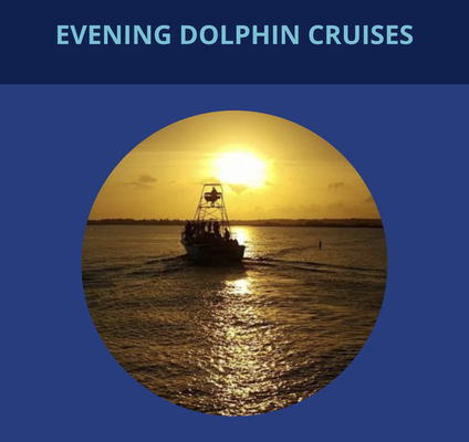 Sunset Cruise - About Us
THE BEST DOLPHIN CRUISE ! That is our commitment to you.
Since 2011, Surf’s Up Dolphin Cruises has worked hard to provide a memorable experience that will be the highlight of your vacation. That’s why we guarantee dolphin sightings when you cruise with us!
We provide a safe, clean atmosphere for your family to enjoy the thrill of seeing wild dolphins at play in their natural environment. Our boats create the perfect wave for the dolphin to showcase some serious surfing ability. Whether they are carving turns underwater or “getting air” with huge leaps you are sure to be impressed with their seemingly effortless mastery of their domain. So if you are seeking a once in a lifetime adventure or you are one of our regulars, come aboard and prepare to be amazed. We promise our best every time.
Our Crew:
Our knowledgeable captains run these boats so you can experience the excitement and joy of these amazing animals up close, while ensuring a safe and fun trip for your family or your group.
Capt Nelson Box began dolphin cruising as a deckhand in 1998 until he could find a “real job”. Twenty-five years and thousands of trips later he is still enjoying being on the water and introducing people to the beauty found along our little corner of the gulf coast.
Check out our Facebook page to see customer reviews, photos and more!
Follow us on Instagram and Facebook to see more of our exciting tour photos!
Dolphin Cruises Orange Beach Alabama
Where are we located?
You’ll find us at Caribe Marina on beautiful Perdido Key.
We operate Monday through Saturday from March to October. But our trip times vary according to the season, so call 251.965.7873 for availability.
Keep the following in mind when planning and preparing for your cruise:
Trips are between 1 1/2 & 2 hours long.
You do need a reservation, so click the BOOK NOW button or call 251.965.7873 a day or so before you want to ride. Sunset Cruise - About Us
THE BEST DOLPHIN CRUISE ! That is our commitment to you.
Since 2011, Surf’s Up Dolphin Cruises has worked hard to provide a memorable experience that will be the highlight of your vacation. That’s why we guarantee dolphin sightings when you cruise with us!
We provide a safe, clean atmosphere for your family to enjoy the thrill of seeing wild dolphins at play in their natural environment. Our boats create the perfect wave for the dolphin to showcase some serious surfing ability. Whether they are carving turns underwater or “getting air” with huge leaps you are sure to be impressed with their seemingly effortless mastery of their domain. So if you are seeking a once in a lifetime adventure or you are one of our regulars, come aboard and prepare to be amazed. We promise our best every time.
Our Crew:
Our knowledgeable captains run these boats so you can experience the excitement and joy of these amazing animals up close, while ensuring a safe and fun trip for your family or your group.
Capt Nelson Box began dolphin cruising as a deckhand in 1998 until he could find a “real job”. Twenty-five years and thousands of trips later he is still enjoying being on the water and introducing people to the beauty found along our little corner of the gulf coast.
Check out our Facebook page to see customer reviews, photos and more!
Follow us on Instagram and Facebook to see more of our exciting tour photos!
Dolphin Cruises Orange Beach Alabama
Where are we located?
You’ll find us at Caribe Marina on beautiful Perdido Key.
We operate Monday through Saturday from March to October. But our trip times vary according to the season, so call 251.965.7873 for availability.
Keep the following in mind when planning and preparing for your cruise:
Trips are between 1 1/2 & 2 hours long.
You do need a reservation, so click the BOOK NOW button or call 251.965.7873 a day or so before you want to ride.