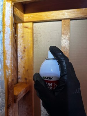 Bed Bug removal service - Got blood splotches on the mattress or sheets? finding Mysterious bites? Seeing evidence of Bedbugs? Call or text us today to schedule your free pest consultation. With our Bedbug removal service we can eliminate your bedbug infestation and give you a better, safer nights sleep. Bed Bug removal service - Got blood splotches on the mattress or sheets? finding Mysterious bites? Seeing evidence of Bedbugs? Call or text us today to schedule your free pest consultation. With our Bedbug removal service we can eliminate your bedbug infestation and give you a better, safer nights sleep.
