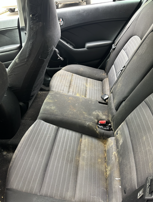 Mold Removal - This vehicle was molded in pretty seriously. We came out and treated the mold with natural products that kill and break apart the mold. After multiple run throughs with a water upholstery cleaner and some more product. This was the final result. Mold Removal - This vehicle was molded in pretty seriously. We came out and treated the mold with natural products that kill and break apart the mold. After multiple run throughs with a water upholstery cleaner and some more product. This was the final result.