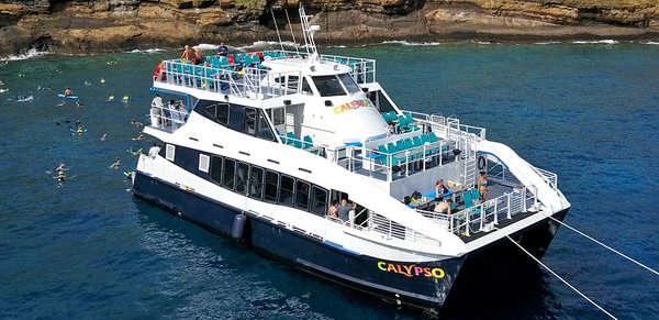 Calypso Charters - CALL TO BOOK: 808-856-4260
The Calypso Maui is ready to take you on exciting ocean excursions. The boat launches from Ma’alaea – the most easily reached, centralized harbor on the island. You can go on the morning Molokini Snorkeling Tour, the sunset Dinner Cruise, the seasonal Whale Watch, and – for super special occasions — the Private Charter!
This motorized catamaran is built with three decks of fun, and is a wonderful vessel for landlubbers and ocean adventurers alike. The Calypso Maui operates like a spacious, floating amusement park, and her double hulls are built for stability. When the boat is moving forward, the twin hulls cut smartly through the water, leaving most of the craft to float high above the waves, and ride on top of the sea-surface winds. This leads to a comfortable, smooth catamaran snorkeling trip in Maui for you and your group, even when island trade-winds factor in.
The views from Calypso Maui are better than any other boat for miles, because she is the only vessel on the island that has three decks. As a bonus, you’ll find glass panels on the bottom of the boat, too! Two of the cabins are completely covered from the sun, but both ends are open to the sea air. The huge tinted windows along both the port and starboard sides ensure that you always have a good view of the great Pacific beyond the railings. Year round, it’s good to keep your eyes open for flying fish, sea turtles, dolphins, false killer whales, and other fantastic marine animals who may be up near the surface. During whale season (mid-December through mid-April), come out to see the 45-ton humpback whales! Once you’ve seen a whale, nothing else can compare.
Our fun, dynamic, and experienced crew is there for you no matter what you need, and safety is paramount. If you come out with us to Molokini Crater, the captain and crew will teach you what you need to know in order to snorkel. Crew members will explain how to use the wide dive steps, two water slides, or the “leap of faith” jump-off point to enter the water, and they will entertain you with little-known facts about the islands that you are gliding past. The crew will also have delicious food and drinks at the ready, along with local insider tips, good humor, and Aloha. Calypso Charters - CALL TO BOOK: 808-856-4260
The Calypso Maui is ready to take you on exciting ocean excursions. The boat launches from Ma’alaea – the most easily reached, centralized harbor on the island. You can go on the morning Molokini Snorkeling Tour, the sunset Dinner Cruise, the seasonal Whale Watch, and – for super special occasions — the Private Charter!
This motorized catamaran is built with three decks of fun, and is a wonderful vessel for landlubbers and ocean adventurers alike. The Calypso Maui operates like a spacious, floating amusement park, and her double hulls are built for stability. When the boat is moving forward, the twin hulls cut smartly through the water, leaving most of the craft to float high above the waves, and ride on top of the sea-surface winds. This leads to a comfortable, smooth catamaran snorkeling trip in Maui for you and your group, even when island trade-winds factor in.
The views from Calypso Maui are better than any other boat for miles, because she is the only vessel on the island that has three decks. As a bonus, you’ll find glass panels on the bottom of the boat, too! Two of the cabins are completely covered from the sun, but both ends are open to the sea air. The huge tinted windows along both the port and starboard sides ensure that you always have a good view of the great Pacific beyond the railings. Year round, it’s good to keep your eyes open for flying fish, sea turtles, dolphins, false killer whales, and other fantastic marine animals who may be up near the surface. During whale season (mid-December through mid-April), come out to see the 45-ton humpback whales! Once you’ve seen a whale, nothing else can compare.
Our fun, dynamic, and experienced crew is there for you no matter what you need, and safety is paramount. If you come out with us to Molokini Crater, the captain and crew will teach you what you need to know in order to snorkel. Crew members will explain how to use the wide dive steps, two water slides, or the “leap of faith” jump-off point to enter the water, and they will entertain you with little-known facts about the islands that you are gliding past. The crew will also have delicious food and drinks at the ready, along with local insider tips, good humor, and Aloha.