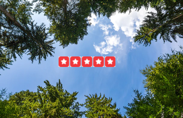 Come See Why Houston Loves Us! - There are reasons our clients love our work!
1. Great low prices: competitive prices on all
2. No hidden fees of any kind!
3. We work 7 days a week.
4. We have several of Landscaping restoration and emergency services available 24/7. Come See Why Houston Loves Us! - There are reasons our clients love our work!
1. Great low prices: competitive prices on all
2. No hidden fees of any kind!
3. We work 7 days a week.
4. We have several of Landscaping restoration and emergency services available 24/7.