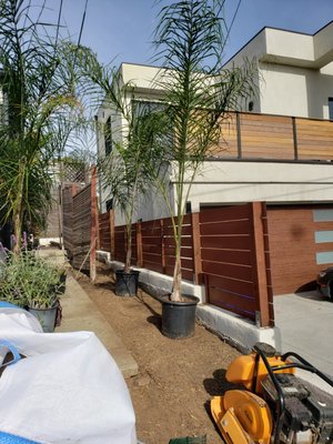 Landscaping services - best for you