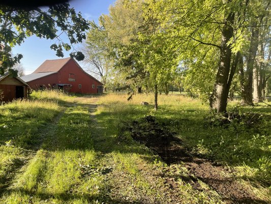 Farm yard makeover - Abandoned Farm place landscape Farm yard makeover - Abandoned Farm place landscape