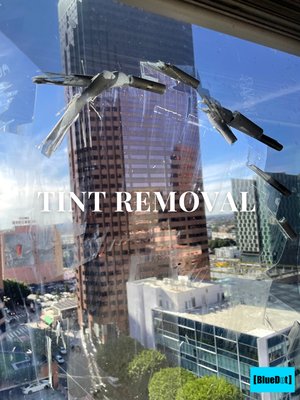 Tint Removal - Although tinting is a great way to block heat from getting into the building and to protect the windows, it can eventually wear out. The film can become damaged over time and may need to be replaced. Removing old or damaged window film is tedious, messy and requires a bit of time and patience. We can help you remove and replace it as soon as possible! Tint Removal - Although tinting is a great way to block heat from getting into the building and to protect the windows, it can eventually wear out. The film can become damaged over time and may need to be replaced. Removing old or damaged window film is tedious, messy and requires a bit of time and patience. We can help you remove and replace it as soon as possible!