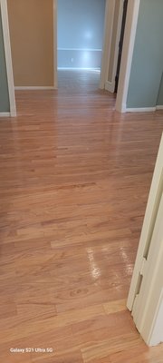 sanding and refinishing project - this house has a very glossy finish. our customer doesn't like the shiny and she wants to change the finish at mate finish. our crew started to prepare everything for the process, and it took 3 days to finish this project. we recommend our clients that the best option was not mate but satin. after all costumer get happy with the results!!.