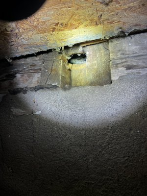 Mice And Rats Exclusion Services - This exclusion service was done for a client who’s been dealing with mice and rats for a while and the previous company they had couldn’t figure out how to stop it. We came in and inspected the crawl space underneath the sun room. We found multiple openings which were closed with wire mesh cloth to prevent rodent from entering home. They are extremely happy with the results. Mice And Rats Exclusion Services - This exclusion service was done for a client who’s been dealing with mice and rats for a while and the previous company they had couldn’t figure out how to stop it. We came in and inspected the crawl space underneath the sun room. We found multiple openings which were closed with wire mesh cloth to prevent rodent from entering home. They are extremely happy with the results.