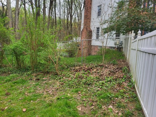 Fast Fence Repair - After strong rain the tree fell on the fence. The Deck solution DMV came and fixed it quickly.  Removed a rotten tree, which could also fall in the future..