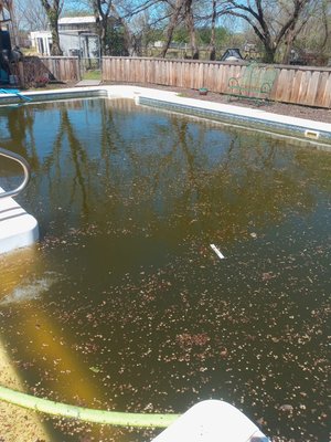Green to blue - Liner pools can’t simply be drained so they need to have the green to blue process. If it wasn’t for my pool vacuum this process would take 1-2 weeks of constantly backwashing and cleaning the filters. I took the dirt and algae out in my own cartridge filter inside my portable vacuum