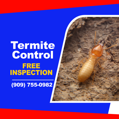 Free Termite Inspection - Call us today to schedule your FREE Termite Inspection: 909-755-0982 Free Termite Inspection - Call us today to schedule your FREE Termite Inspection: 909-755-0982