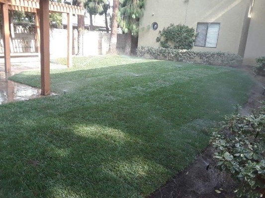 Efficient Irrigation Services - Keep your garden green and thriving with our professional irrigation services! Efficient Irrigation Services - Keep your garden green and thriving with our professional irrigation services!