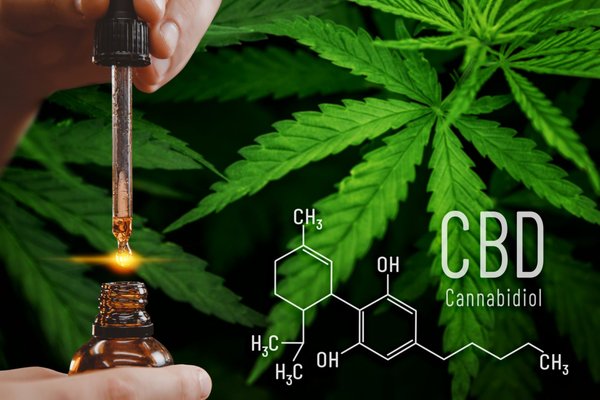 CBD Available - 562-245-7189 - Nestled at 251 W Whittier Blvd, La Habra, CA 90631, Corner Vape & Smoke stands as your ultimate destination for a comprehensive selection of CBD products. Beyond our extensive array of traditional smoking accessories and electronic smoking devices, we pride ourselves on offering a diverse range of CBD products to cater to varying preferences and needs.
At Corner Vape & Smoke, we recognize the growing demand for CBD products and are committed to sourcing only the highest quality options available on the market. From CBD sprays and treats to drinks, tinctures, smokeables, gummies, and much more, we carry an expansive inventory to meet all your CBD needs.
Our dedication to quality extends beyond product selection; we prioritize transparency and efficacy, ensuring that each CBD product undergoes rigorous testing and meets our stringent standards for purity and potency. Whether you're seeking relief from pain, anxiety, insomnia, or simply looking to incorporate CBD into your wellness routine, our knowledgeable staff is here to guide you toward the perfect product to suit your individual needs.
Customer satisfaction is paramount at Corner Vape & Smoke. Our friendly and experienced team is dedicated to providing personalized assistance, answering your questions, and helping you navigate our diverse selection of CBD products with ease. Whether you're a seasoned CBD enthusiast or new to exploring its benefits, we're here to empower you with the information and resources needed to make informed decisions and experience the transformative potential of CBD.
Discover the unparalleled quality and diversity of CBD products available at Corner Vape & Smoke today. Visit us in La Habra, CA, and embark on a journey toward enhanced well-being and vitality with our exceptional selection and expert guidance. CBD Available - 562-245-7189 - Nestled at 251 W Whittier Blvd, La Habra, CA 90631, Corner Vape & Smoke stands as your ultimate destination for a comprehensive selection of CBD products. Beyond our extensive array of traditional smoking accessories and electronic smoking devices, we pride ourselves on offering a diverse range of CBD products to cater to varying preferences and needs.
At Corner Vape & Smoke, we recognize the growing demand for CBD products and are committed to sourcing only the highest quality options available on the market. From CBD sprays and treats to drinks, tinctures, smokeables, gummies, and much more, we carry an expansive inventory to meet all your CBD needs.
Our dedication to quality extends beyond product selection; we prioritize transparency and efficacy, ensuring that each CBD product undergoes rigorous testing and meets our stringent standards for purity and potency. Whether you're seeking relief from pain, anxiety, insomnia, or simply looking to incorporate CBD into your wellness routine, our knowledgeable staff is here to guide you toward the perfect product to suit your individual needs.
Customer satisfaction is paramount at Corner Vape & Smoke. Our friendly and experienced team is dedicated to providing personalized assistance, answering your questions, and helping you navigate our diverse selection of CBD products with ease. Whether you're a seasoned CBD enthusiast or new to exploring its benefits, we're here to empower you with the information and resources needed to make informed decisions and experience the transformative potential of CBD.
Discover the unparalleled quality and diversity of CBD products available at Corner Vape & Smoke today. Visit us in La Habra, CA, and embark on a journey toward enhanced well-being and vitality with our exceptional selection and expert guidance.