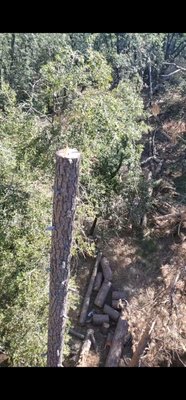 Tree maintenance - These trees we're close to lines and needed to be removed and trimmed for saftey. Tree maintenance - These trees we're close to lines and needed to be removed and trimmed for saftey.