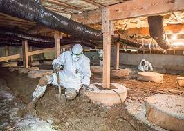 Crawl space - standing water and mold removal - When a home’s crawl space is vented and has exposed soil, groundwater and rainwater seeps into the soil, continuously releasing damaging water vapor into the home. Moreover, even more moisture is getting into the home from the humid air which moves in and out of the crawl space vents on both hot days (turning into moisture when hitting the cooler earth inside) or simply bringing in moisture during the wet season.

The humidity and mold growing inside the crawl space is bad for the structural integrity of a home and can lead to sticky windows, buckling hardwood floors, bent or rotting wood framing, rusty fabricated metal parts, and higher energy bills.