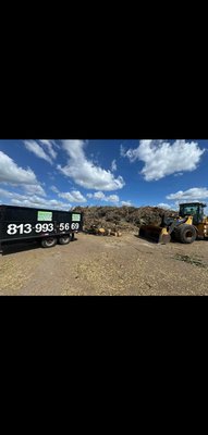 We do it all. From oak trimming to huge removals and crane removals we do it all. - We offer all tree services. We can even do a full property clean out with hauling all debris and after some landscaping and tree care we can fully transform your property even gain it back from overgrown brush. We do it all. Free estimates and we offer residential and commercial services. We do it all. From oak trimming to huge removals and crane removals we do it all. - We offer all tree services. We can even do a full property clean out with hauling all debris and after some landscaping and tree care we can fully transform your property even gain it back from overgrown brush. We do it all. Free estimates and we offer residential and commercial services.