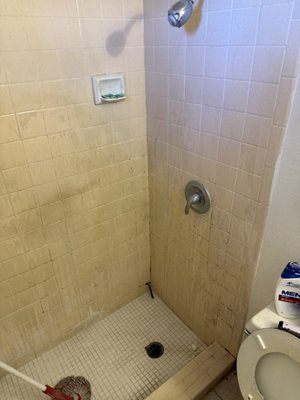Super clean - This is probably one of the worst cases we have had but were happy to turn it around. With a shirt budget we were able to do as much as we could in 4 hours. Client was very pleased and stated he could get his life back now! Super clean - This is probably one of the worst cases we have had but were happy to turn it around. With a shirt budget we were able to do as much as we could in 4 hours. Client was very pleased and stated he could get his life back now!