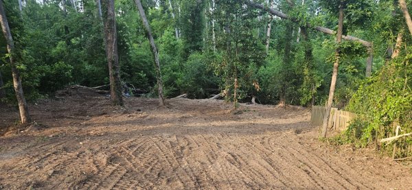 Land Clearing Before and After - This property had become difficult to access due to fallen trees, heavy brush, tangled limbs, debris, and dense overgrowth. Our team cleared the unwanted vegetation and removed the downed material to open the area back up.
The finished result is a cleaner, safer, and much more usable space with improved visibility and easier access throughout the property. Land clearing can help homeowners reclaim overgrown areas, prepare for future landscaping or construction, reduce unwanted vegetation, and make routine property maintenance much easier.
Whether you need a small section cleared or a larger property cleaned up, Beasley Landscaping can help transform an overgrown area into a fresh, open space ready for its next purpose.
Serving Augusta, Evans, Martinez, Grovetown, North Augusta, Aiken, and surrounding CSRA communities.
Call or text Beasley Landscaping at 706-306-9008 to discuss your land-clearing project. Land Clearing Before and After - This property had become difficult to access due to fallen trees, heavy brush, tangled limbs, debris, and dense overgrowth. Our team cleared the unwanted vegetation and removed the downed material to open the area back up.
The finished result is a cleaner, safer, and much more usable space with improved visibility and easier access throughout the property. Land clearing can help homeowners reclaim overgrown areas, prepare for future landscaping or construction, reduce unwanted vegetation, and make routine property maintenance much easier.
Whether you need a small section cleared or a larger property cleaned up, Beasley Landscaping can help transform an overgrown area into a fresh, open space ready for its next purpose.
Serving Augusta, Evans, Martinez, Grovetown, North Augusta, Aiken, and surrounding CSRA communities.
Call or text Beasley Landscaping at 706-306-9008 to discuss your land-clearing project.