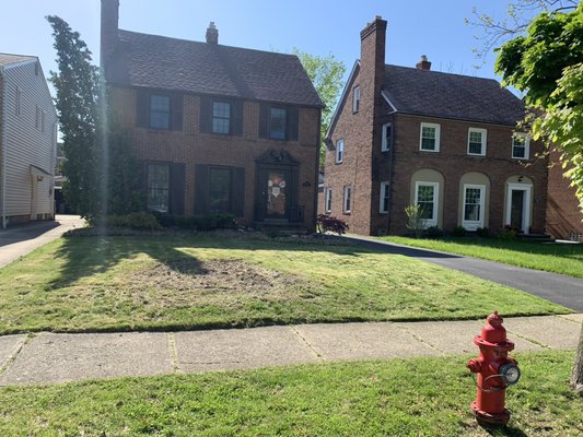 Basic Cut Package - Small yard with basic cut Basic Cut Package - Small yard with basic cut