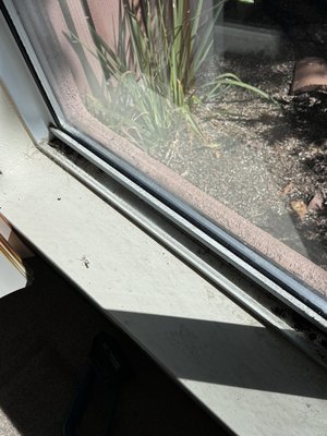 Cleaning Windows - Cleaning windows Cleaning Windows - Cleaning windows