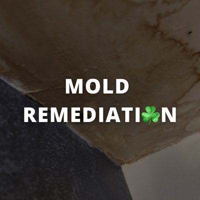 Mold Remediation - Did you find mold? Contact us for a free estimate to remove and prevent mold damage.