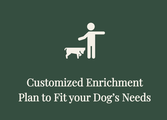 Customized Enrichment Plan - No two dogs are the same — and neither are their enrichment plans. At Paws-N-Pines, every dog receives a personalized enrichment plan built around their individual personality, energy level, play style, and comfort. From mental stimulation and supervised socialization to outdoor adventures along our exclusive Pawsitive Pathways trail, each activity is intentionally chosen to support your dog's physical, mental, and emotional well-being. The result? A happier, calmer, more confident dog — every single visit.