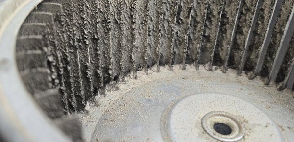 Blower Motor Maintenance - A dirty air conditioner blower motor wheel causes weak airflow, higher energy bills, and system breakdowns. Dust and mold on the fan blades restrict air circulation. This strain makes the motor work harder, which can overheat the system and freeze evaporator coils. Let the factory trained Technicians at TLS Mechanical clean and maintain your equipment to ensure it operates at peak efficiency all year round. Blower Motor Maintenance - A dirty air conditioner blower motor wheel causes weak airflow, higher energy bills, and system breakdowns. Dust and mold on the fan blades restrict air circulation. This strain makes the motor work harder, which can overheat the system and freeze evaporator coils. Let the factory trained Technicians at TLS Mechanical clean and maintain your equipment to ensure it operates at peak efficiency all year round.