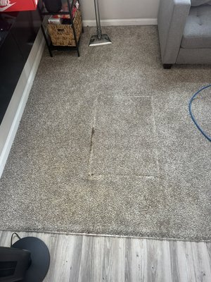 Pet urine treatment - Customer reached out to us, asking us to come and perform a pet treatment on their carpet and that’s what we did. We came out and completely pulled out all day out of the carpet. Pet urine treatment - Customer reached out to us, asking us to come and perform a pet treatment on their carpet and that’s what we did. We came out and completely pulled out all day out of the carpet.