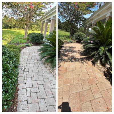 Paver Restoration - Remove any tree or plant roots that are causing damage or disrupting the pavers. Implement measures to control weed growth between the pavers. Re-level the pavers to ensure they are evenly set and properly aligned. Replace the joint sand if it is worn out or washed away. Apply enhancements and a protective coating to improve the appearance and longevity of the pavers. Correct any issues from previous installations that were done incorrectly. Remove any defective coatings that are peeling or damaged. Provide a five-year guarantee on the work to cover any potential issues that may arise. Paver Restoration - Remove any tree or plant roots that are causing damage or disrupting the pavers. Implement measures to control weed growth between the pavers. Re-level the pavers to ensure they are evenly set and properly aligned. Replace the joint sand if it is worn out or washed away. Apply enhancements and a protective coating to improve the appearance and longevity of the pavers. Correct any issues from previous installations that were done incorrectly. Remove any defective coatings that are peeling or damaged. Provide a five-year guarantee on the work to cover any potential issues that may arise.