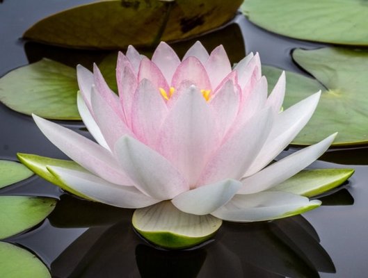 Check out our Vibe! - Check out our Vibe on Facebook   @integratedhealingsystems
WWW.VBHEALER.COM