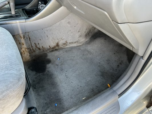 Seat,carpet and mats stain removal - Stain removal is our goal Seat,carpet and mats stain removal - Stain removal is our goal