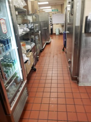 Restaurant cleaning floors, cooking, areas, baking areas, serving areas,sanitizer area, dishes areas entrance to loading dock hallways. - This is Restaurant cleaning floors areas in a 5 star 🌟 Hotel is a contract so if any Restaurant needs floor cleaning give us a call here at Restaurant cleaning floors, cooking, areas, baking areas, serving areas,sanitizer area, dishes areas entrance to loading dock hallways. - This is Restaurant cleaning floors areas in a 5 star 🌟 Hotel is a contract so if any Restaurant needs floor cleaning give us a call here at