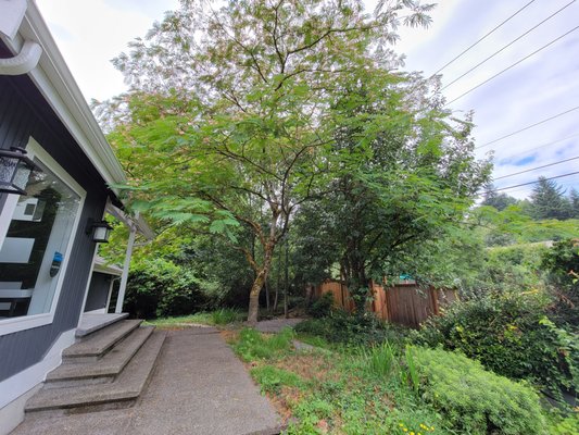 Landscape - We did amazing job on this property