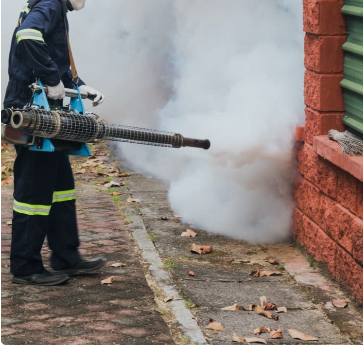 Mosquito Control - We offer specialized mosquito control services that will help you reclaim your yard and enjoy your outdoor activities without the nuisance of bites. Mosquito Control - We offer specialized mosquito control services that will help you reclaim your yard and enjoy your outdoor activities without the nuisance of bites.