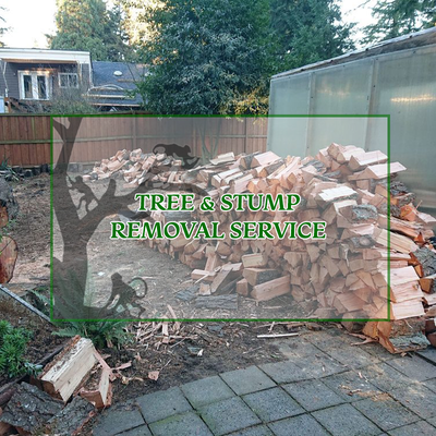 Tree & Stump Removal Service - Tree removal and stump removal service. Tree & Stump Removal Service - Tree removal and stump removal service.