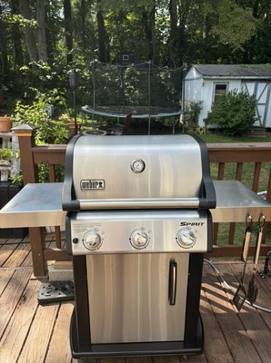 Complete Grill Restoration - This is a complete restoration of a grill from top to bottom, inside and out. This service is for grills with severe buildup, rusting, scarring and staining. An estimate is required since each job will be quoted based upon the needs for that particular grill. This specific grill took about 6 hours to complete. Complete Grill Restoration - This is a complete restoration of a grill from top to bottom, inside and out. This service is for grills with severe buildup, rusting, scarring and staining. An estimate is required since each job will be quoted based upon the needs for that particular grill. This specific grill took about 6 hours to complete.